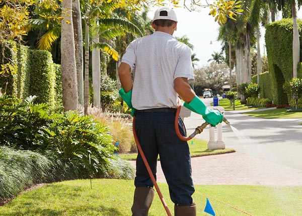 About Southwest Harbor ME Pest Control